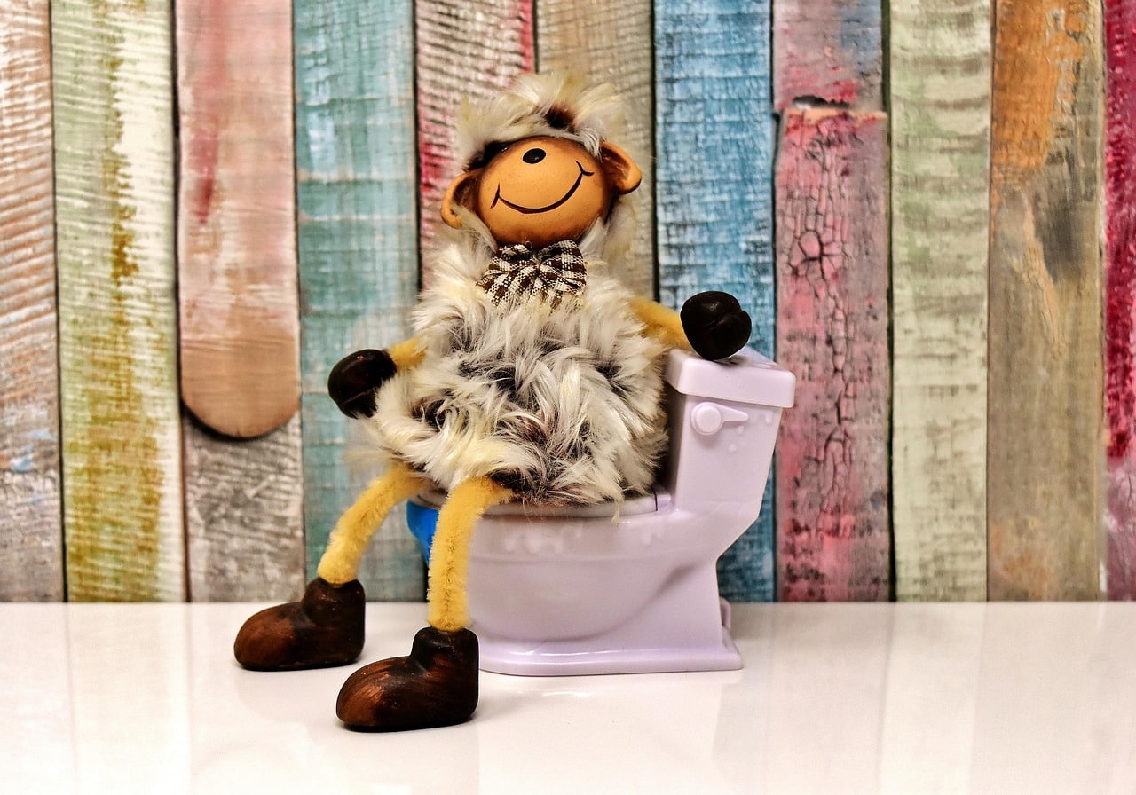 מעי רגיז, המכונה גם תסמונת המעי הרגיז (Irritable Bowel Syndrome – IBS) - מה זה ואיך מתמודדים - מדריך בגישה רב מימדית